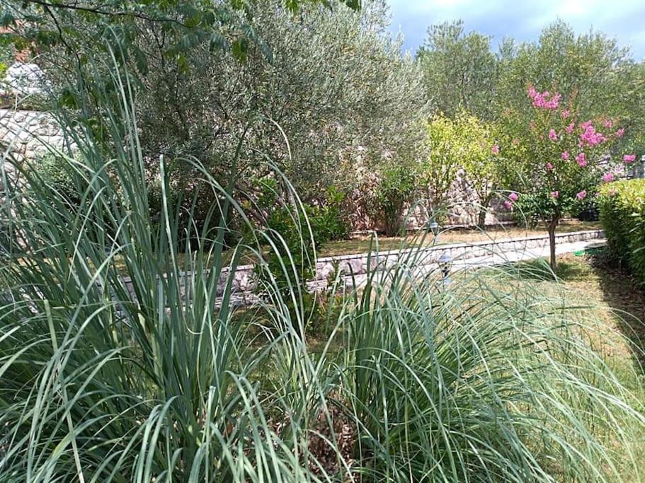 Apartment Mediterranean Garden Rijeka Exterior foto